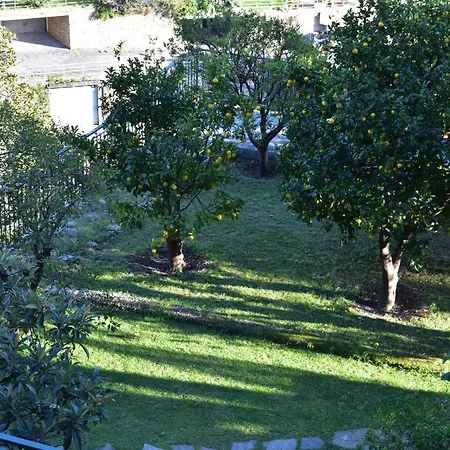 I Pini Apartment