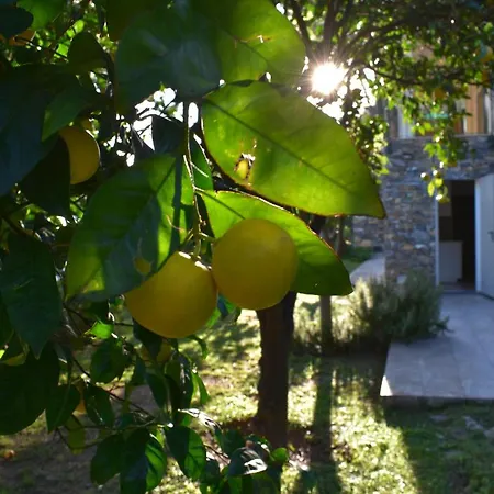 I Pini Apartment